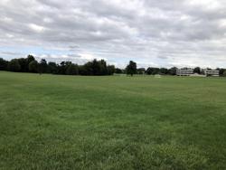 salt creek lane fields